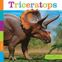 bokomslag Triceratops