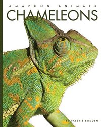 bokomslag Chameleons