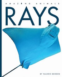 bokomslag Rays