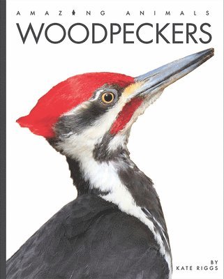 bokomslag Woodpeckers