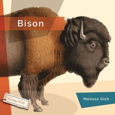 bokomslag Bison