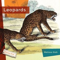 bokomslag Leopards