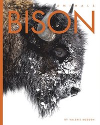 bokomslag Bison