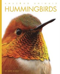 bokomslag Hummingbirds