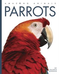 bokomslag Parrots