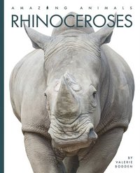 bokomslag Rhinoceroses