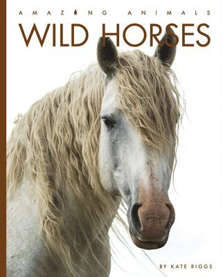 Wild Horses 1