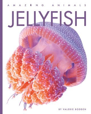 bokomslag Jellyfish