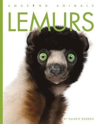 Lemurs 1