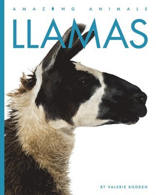 bokomslag Llamas