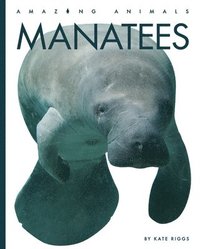 bokomslag Manatees