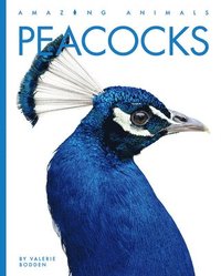 bokomslag Peacocks