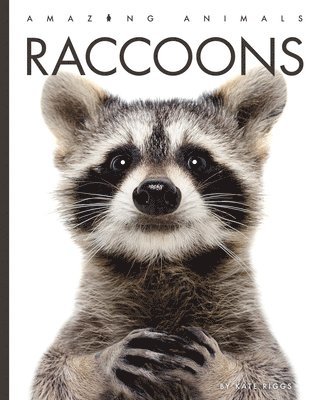 Kate Riggs - Raccoons, Häftad