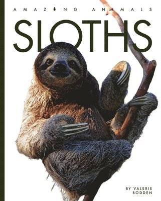 Valerie Bodden - Sloths, Häftad