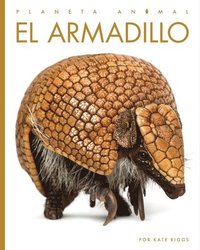 bokomslag El Armadillo