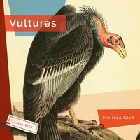 bokomslag Vultures