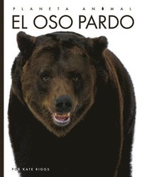 bokomslag El Oso Pardo