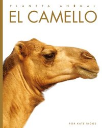 bokomslag El Camello