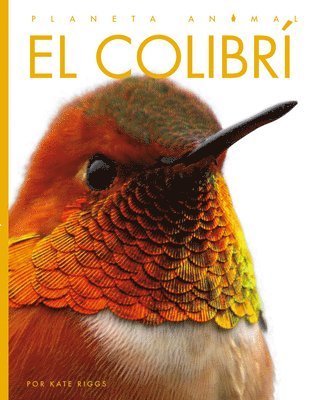 bokomslag El Colibrí