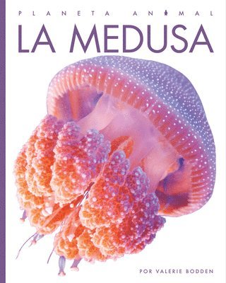 bokomslag La Medusa