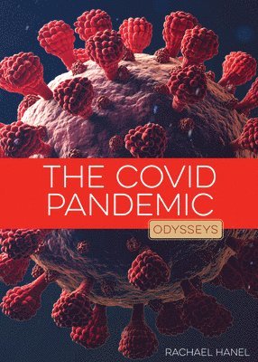 bokomslag The Covid Pandemic