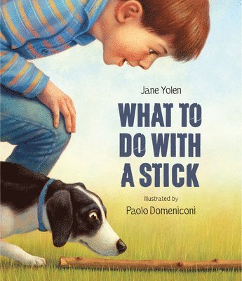 What to do with a Stick 1
