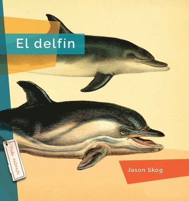 bokomslag El Delfin