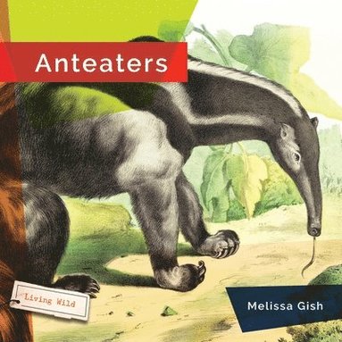 bokomslag Anteaters