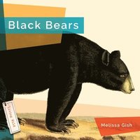 bokomslag Black Bears