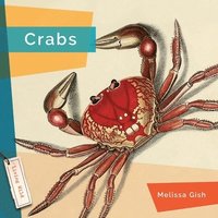 bokomslag Crabs