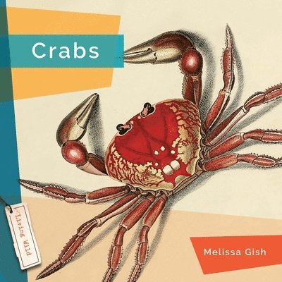 Crabs 1