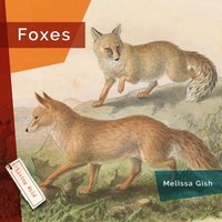 bokomslag Foxes