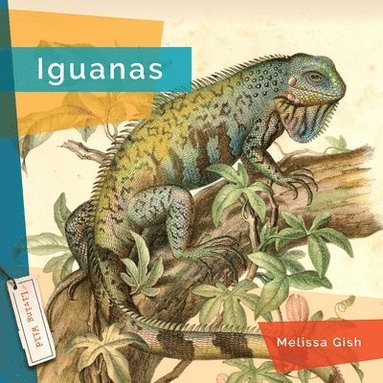 bokomslag Iguanas