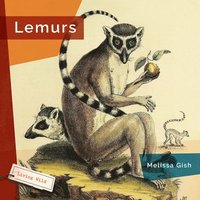 bokomslag Lemurs