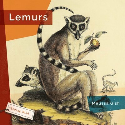 Lemurs 1
