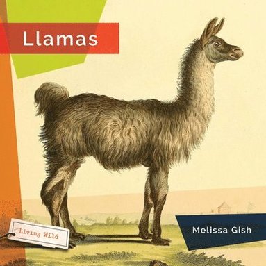 bokomslag Llamas