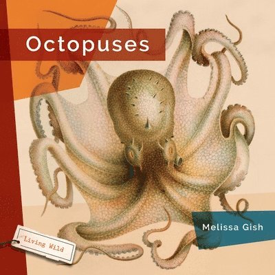 Octopuses 1