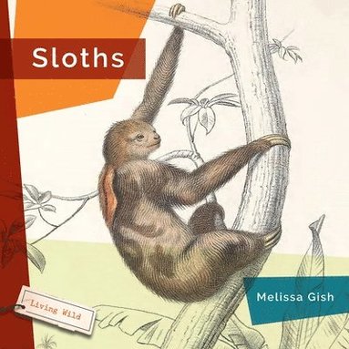 bokomslag Sloths