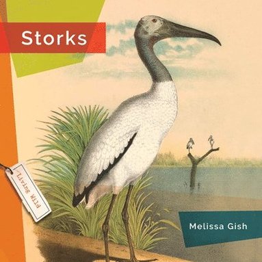 bokomslag Storks