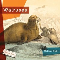bokomslag Walruses
