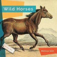 bokomslag Wild Horses