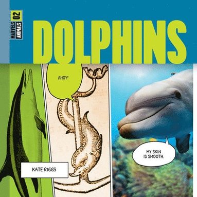 bokomslag Dolphins