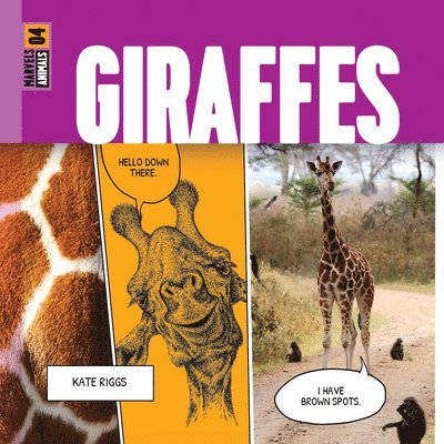 Giraffes 1