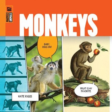 bokomslag Monkeys