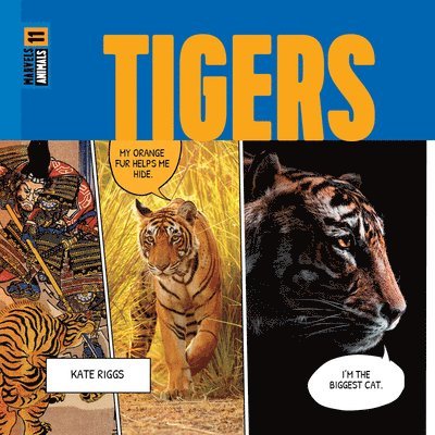 Tigers 1