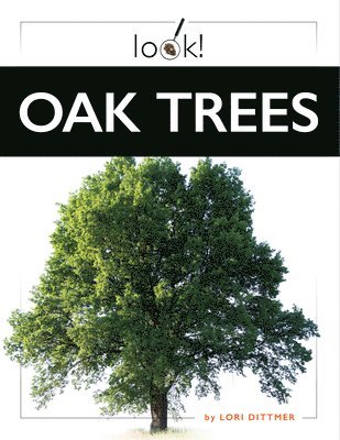 bokomslag Oak Trees