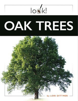 Lori Dittmer - Oak Trees, Häftad