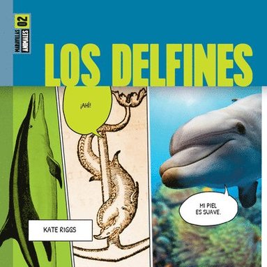 bokomslag Los Delfines