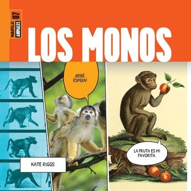 bokomslag Los Monos