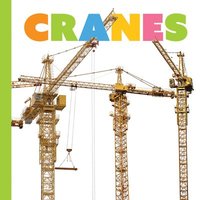 bokomslag Cranes